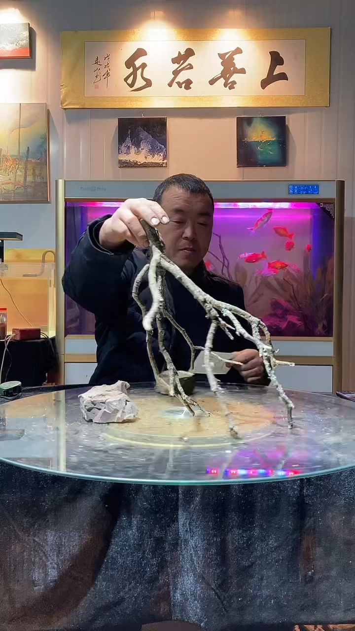 158号天然黄梨木