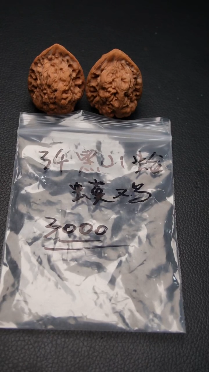把件文玩核桃34黑山蛤蟆