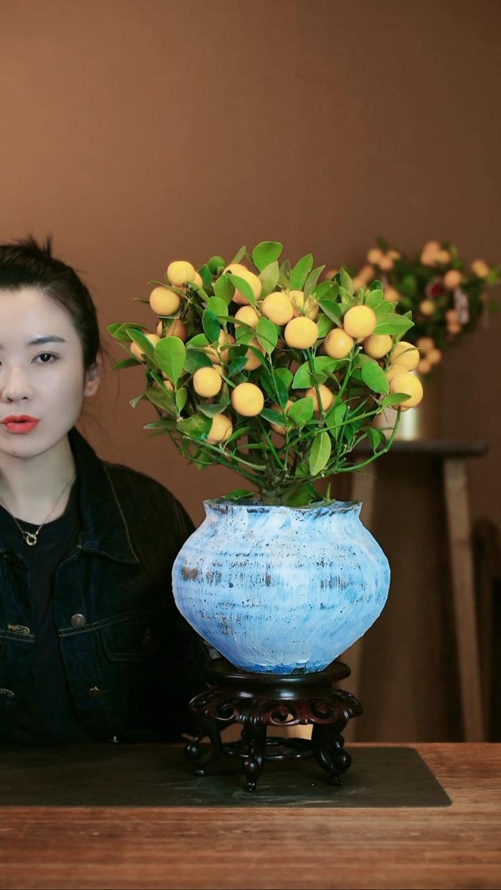 【闪购商品】盆景小金橘 手工