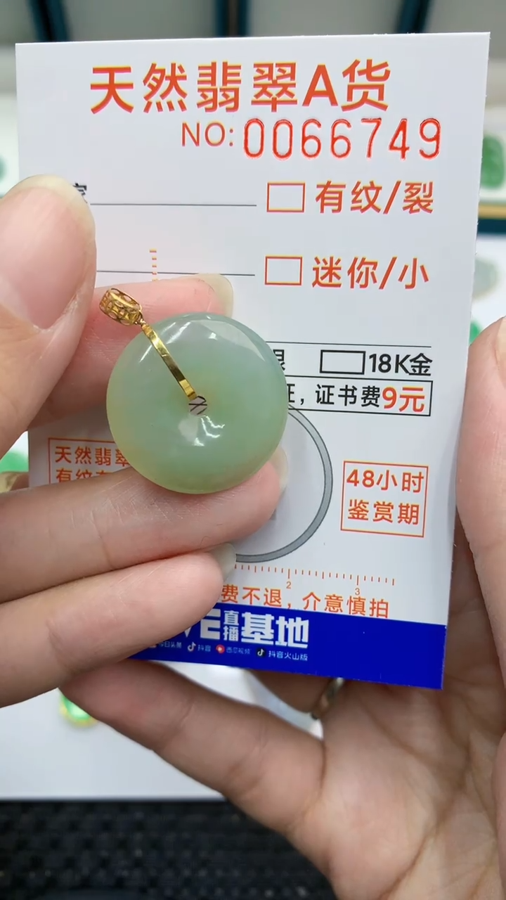 【闪购商品】翡翠颈饰18K金镶嵌            8