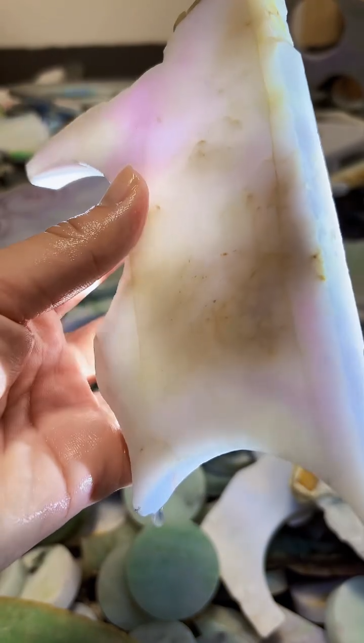 【闪购商品】翡翠颈饰未镶嵌A货白谭1608