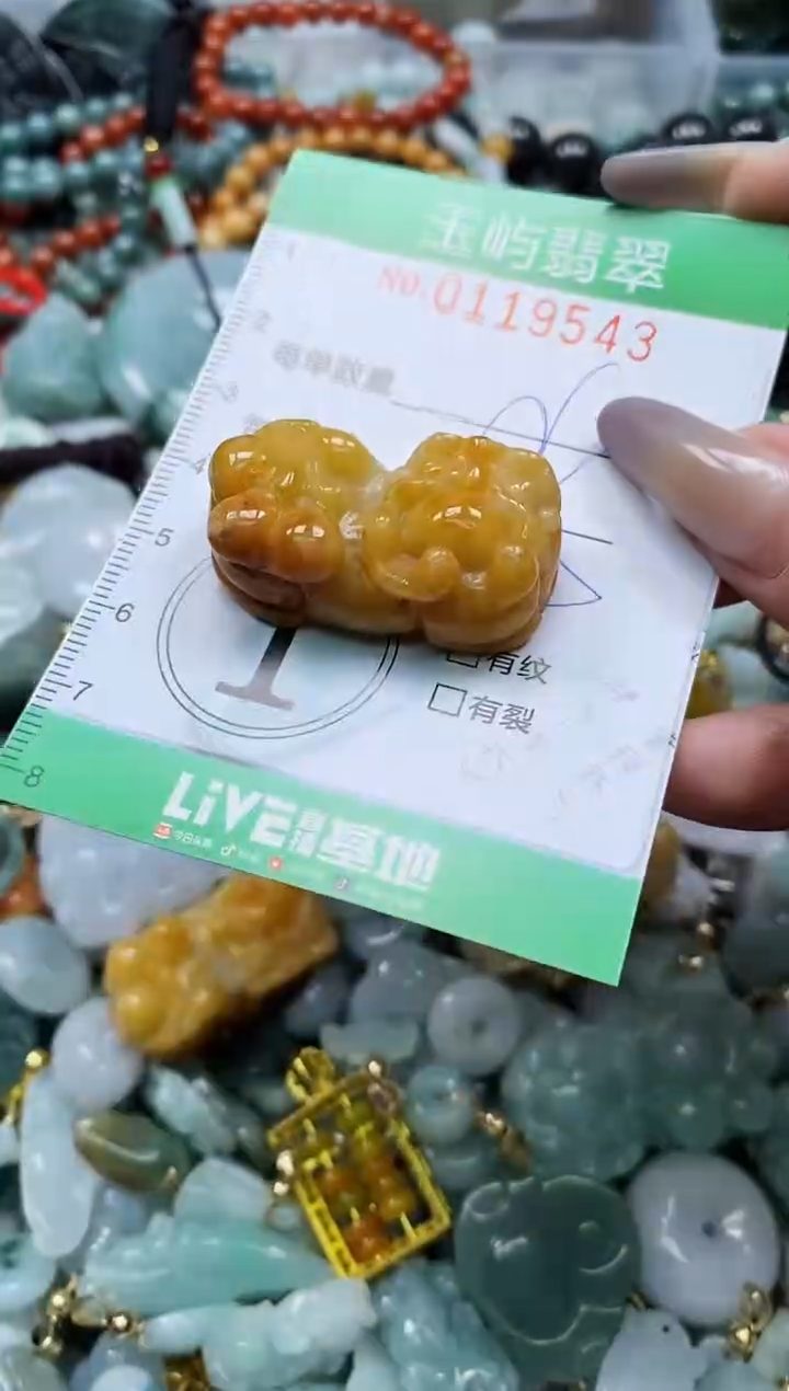 翡翠未镶嵌颈饰闪购0119543