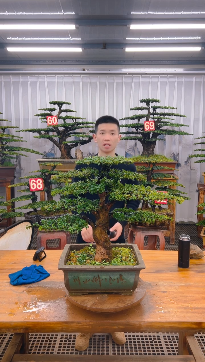 【闪购商品】紫砂精品盆景直播间一物一拍