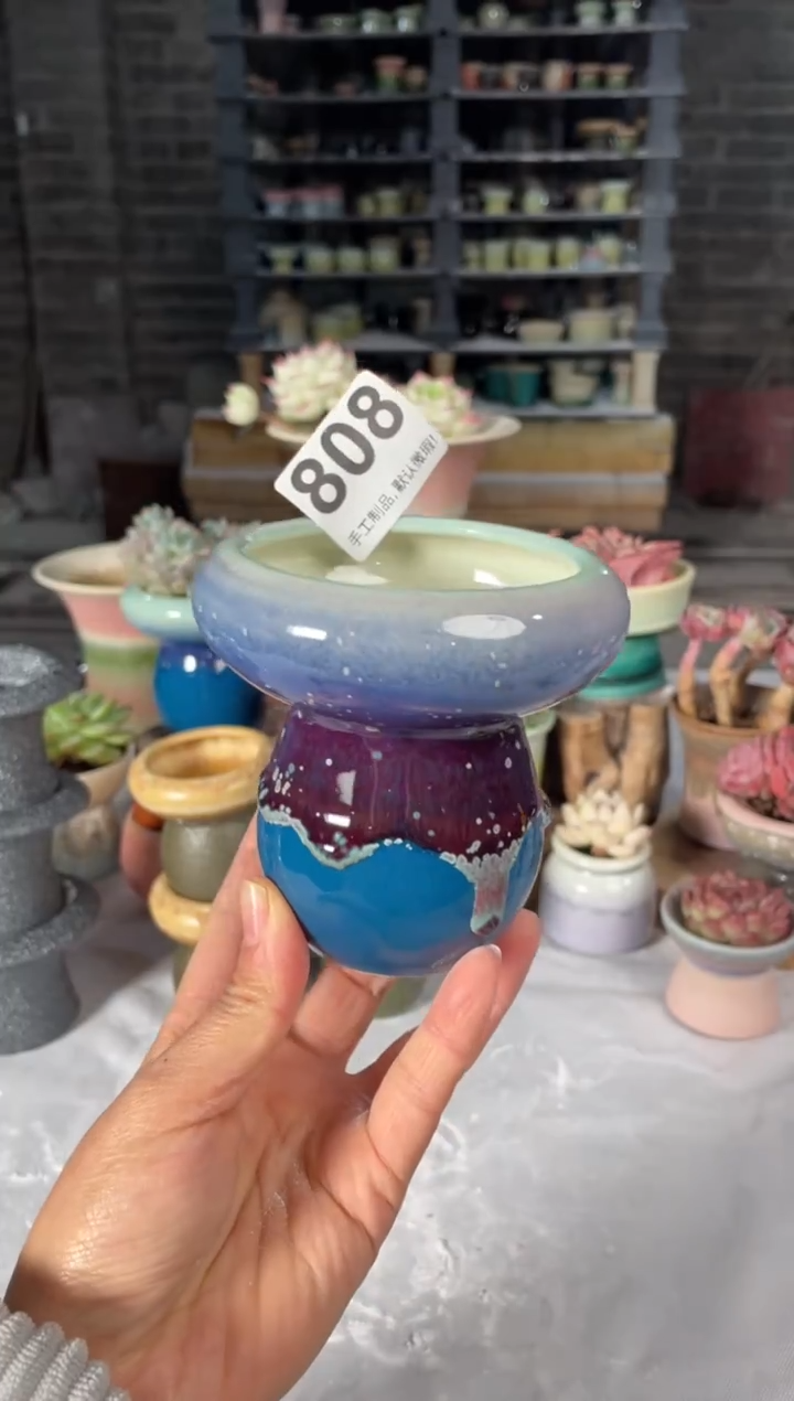 瓷片808小芳直播编号