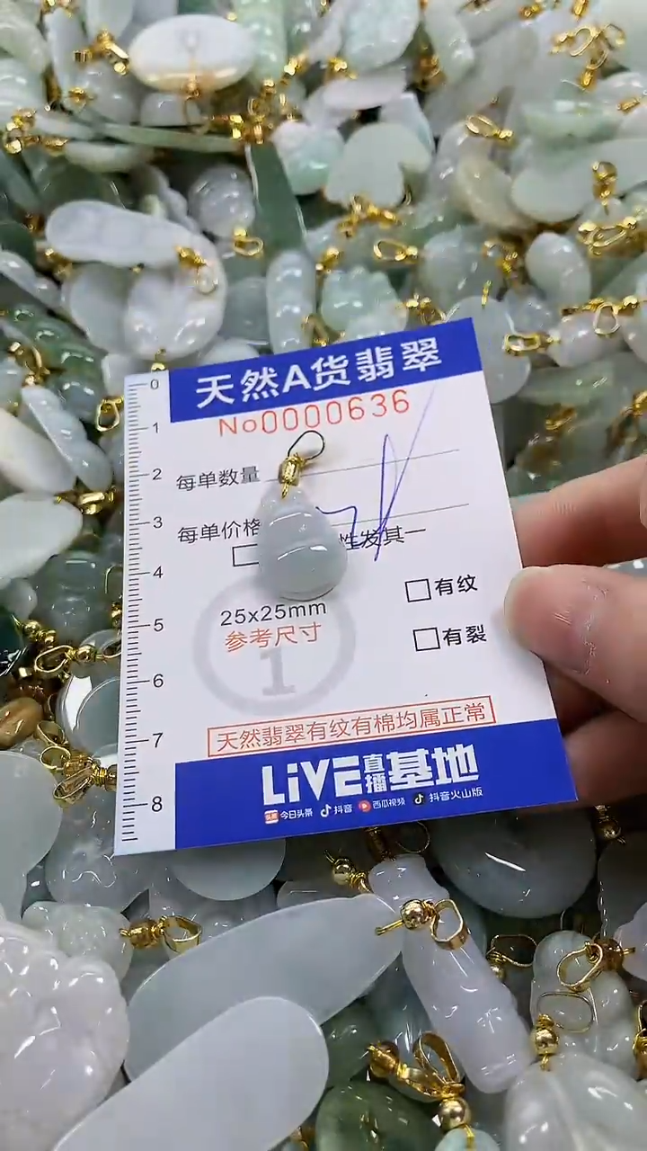 颈饰未镶嵌翡翠纯天然a货翡翠