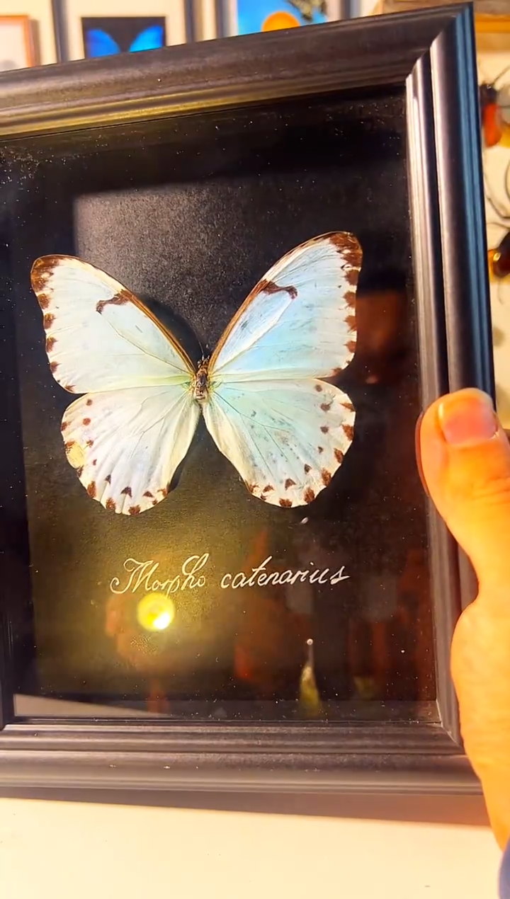 有机玻璃2873783837左下角修复