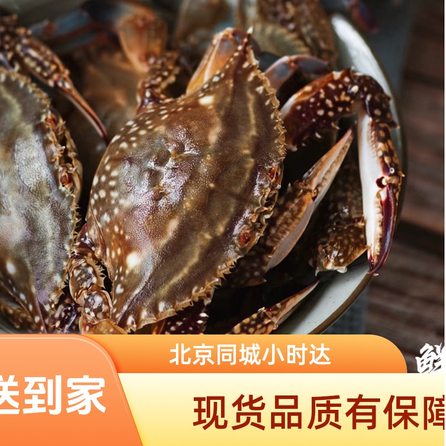 鲜活海捕螃蟹公蟹4-5两/只（1-5斤可选）
