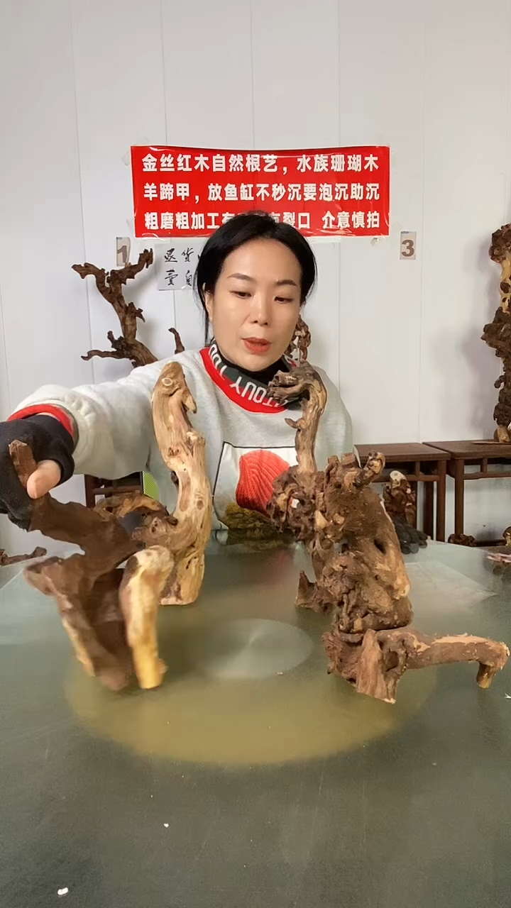 木石****)金丝红木  羊蹄甲4