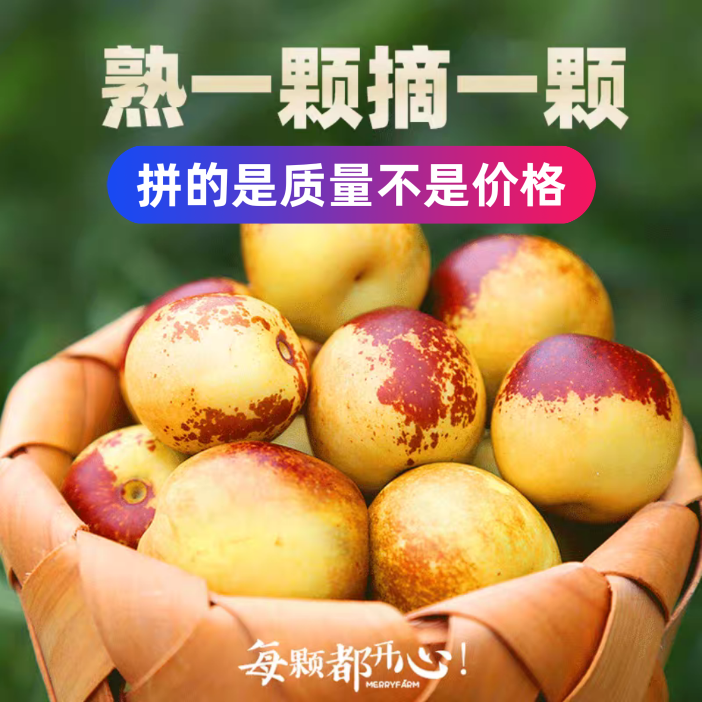 沾化冬枣新鲜现摘脆甜多汁当季水果