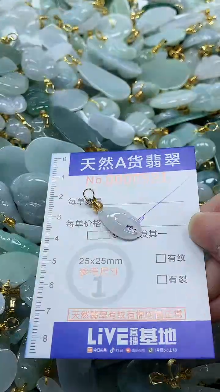 颈饰未镶嵌翡翠纯天然a货翡翠