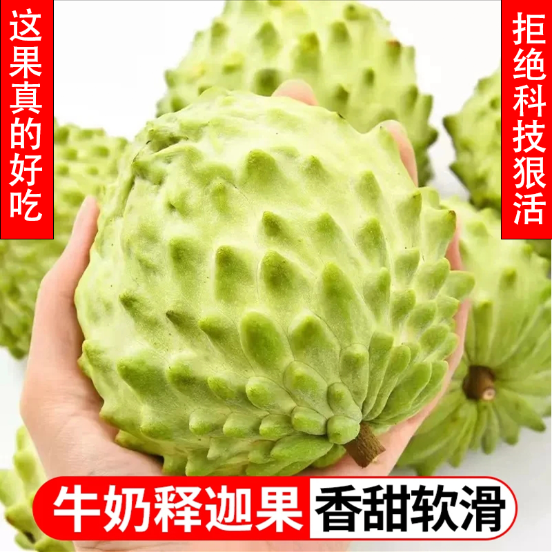 广西果园直发新鲜现摘南方大果货番荔枝牟尼摩佛头林檎凤梨释迦果