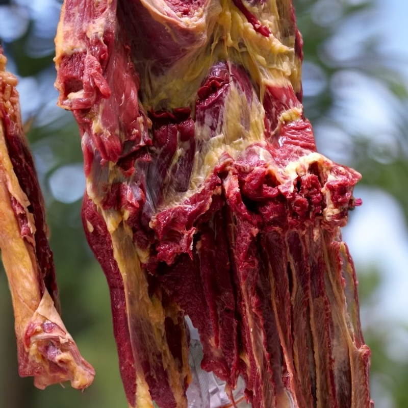 新鲜现宰黄膘牛肋条新鲜牛肉生鲜牛肉顺丰冷链包邮