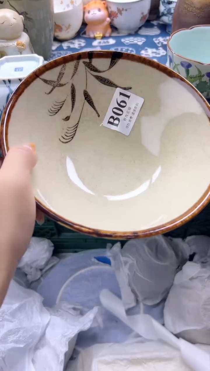 瓷片?****️    B061
