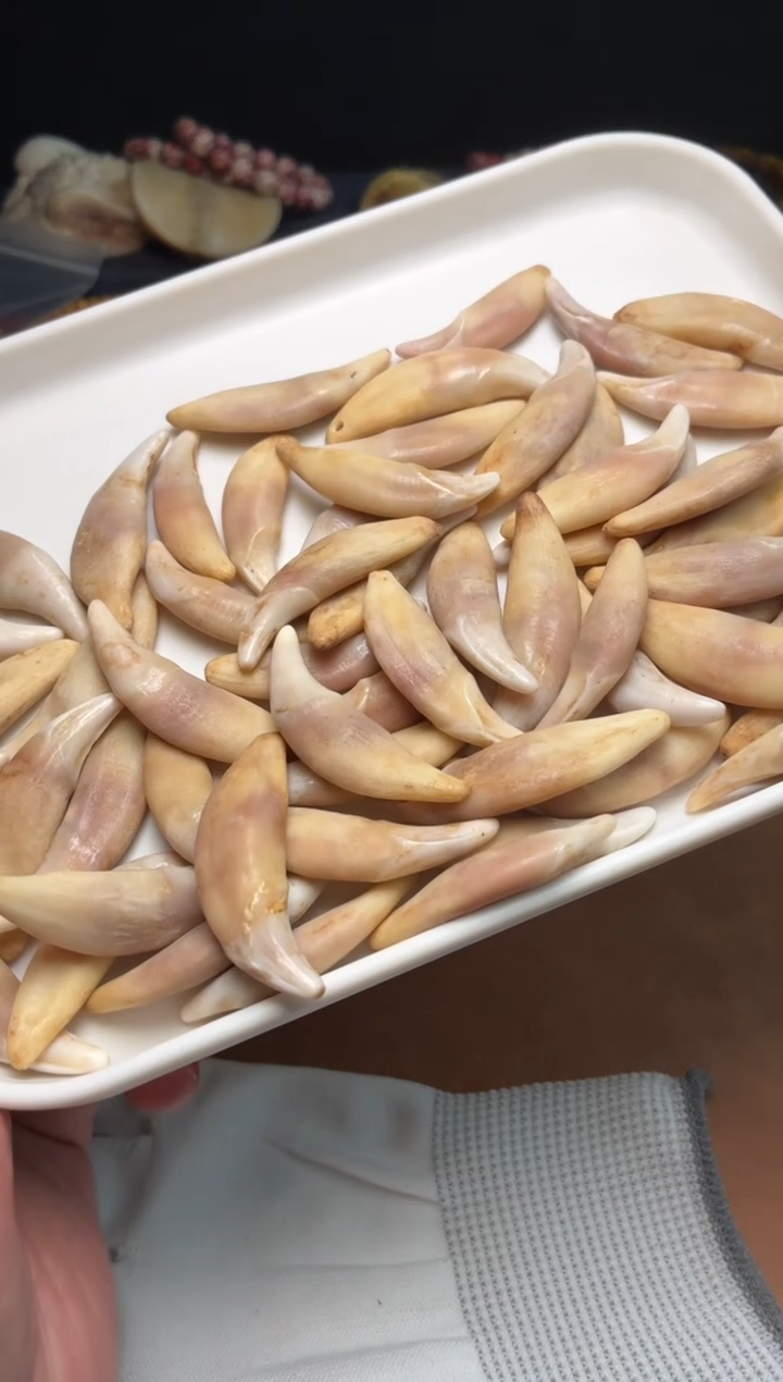 狗牙吊坠P1355-狗牙血料