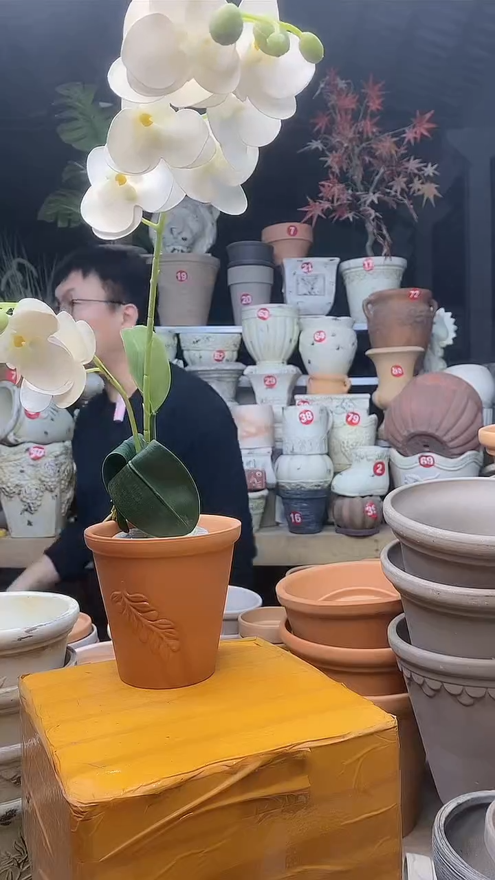 【闪购商品】缸1个13*13红陶橄榄无托无托