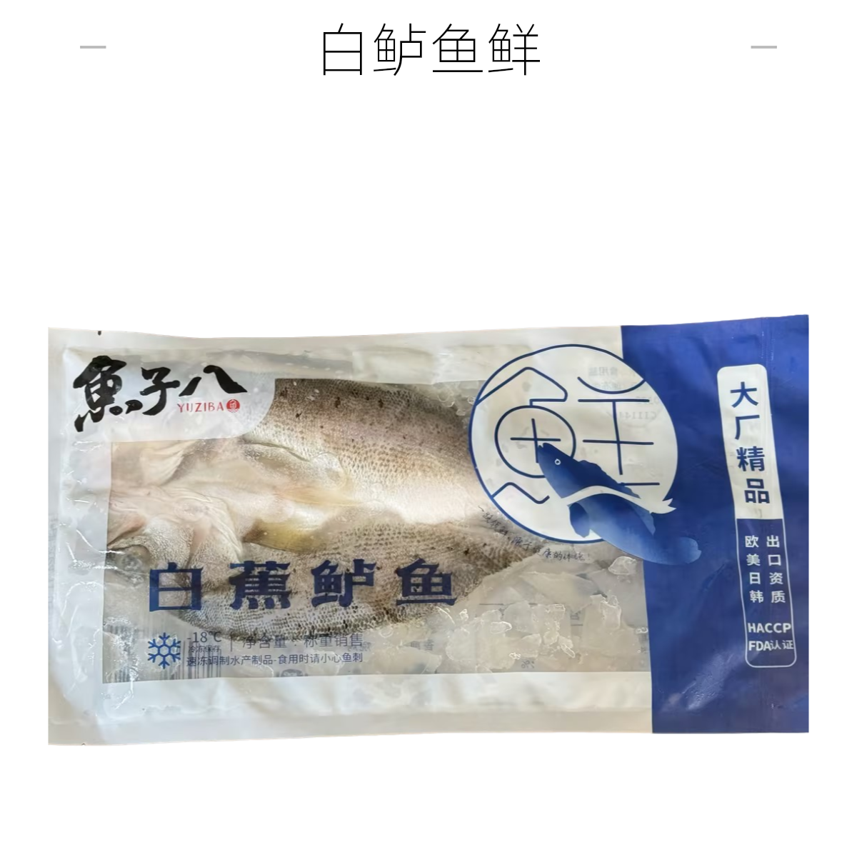 鱼子八速冻白蕉海鲈鱼约1.3斤左右1215