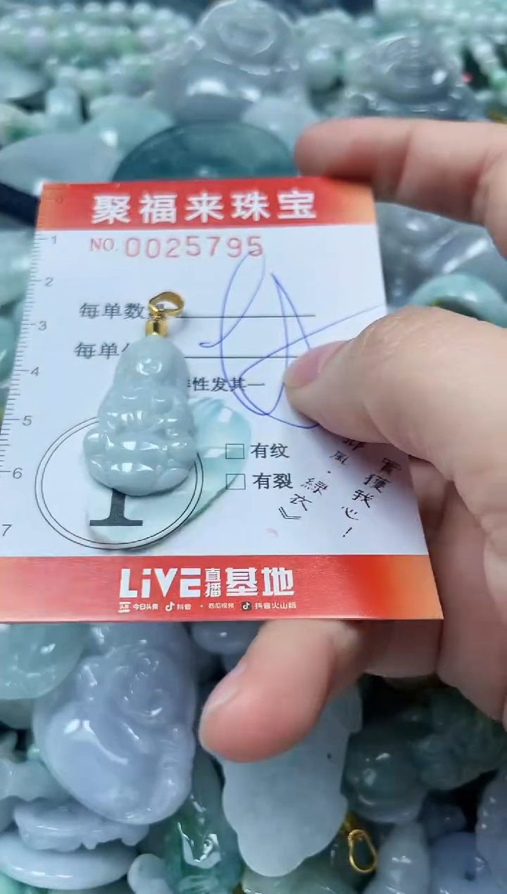 【闪购商品】翡翠颈饰未镶嵌闪购0025795