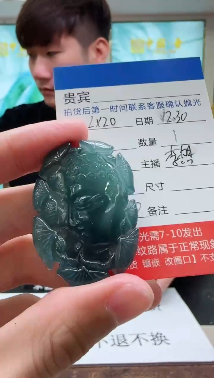 未镶嵌定制翡翠LX20翡翠吊坠-多样性发其一