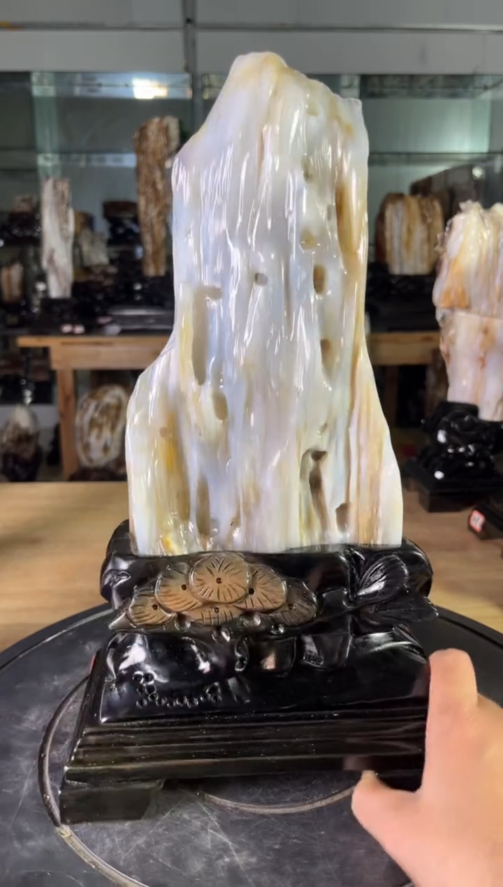 【闪购商品】硅化玉珠宝奇石未镶嵌1