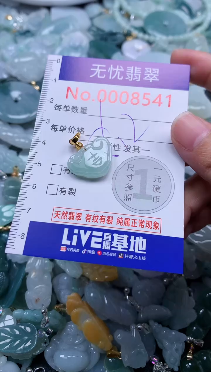 颈饰未镶嵌翡翠8541