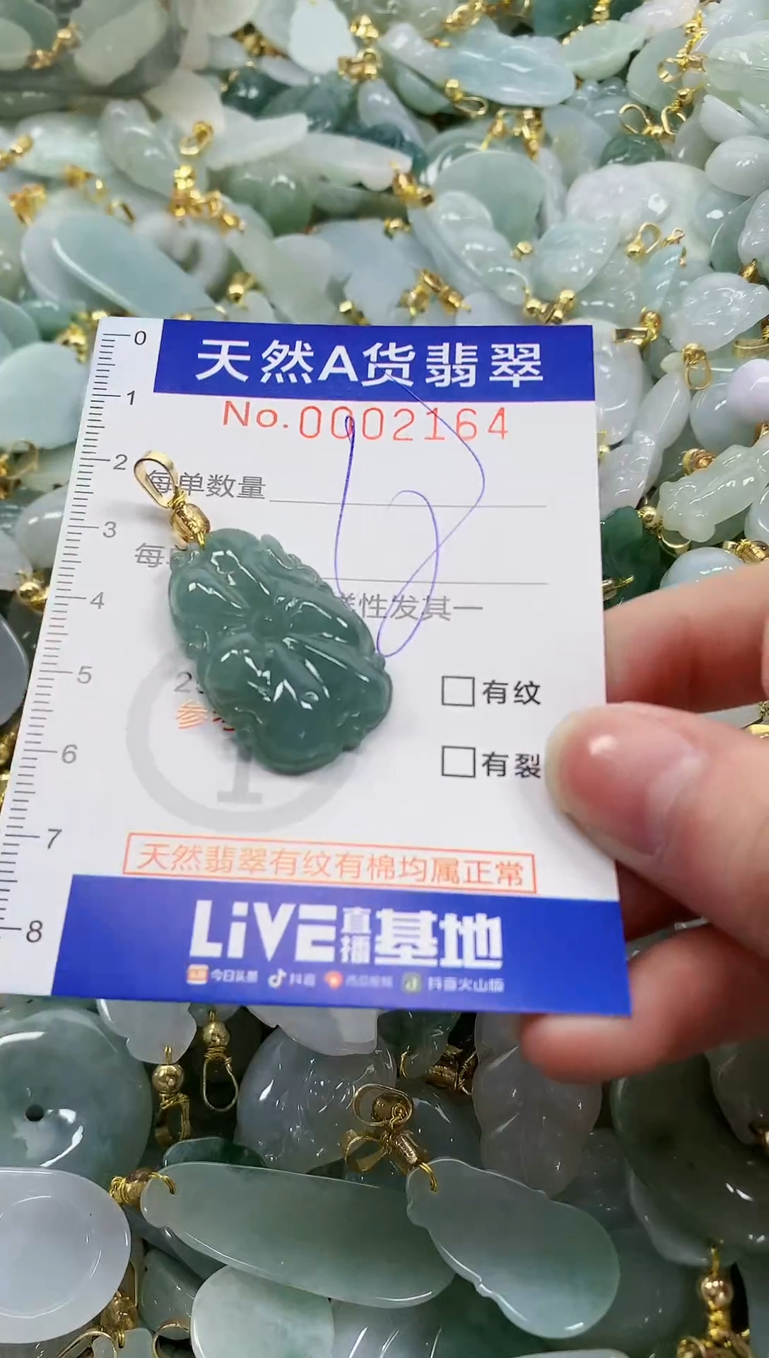 颈饰未镶嵌翡翠纯天然a货翡翠