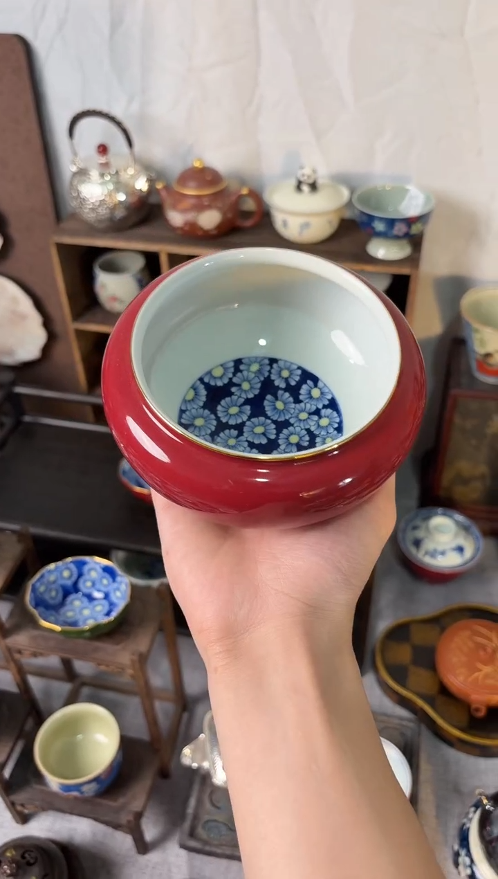 景德镇玫瑰红雏菊建水