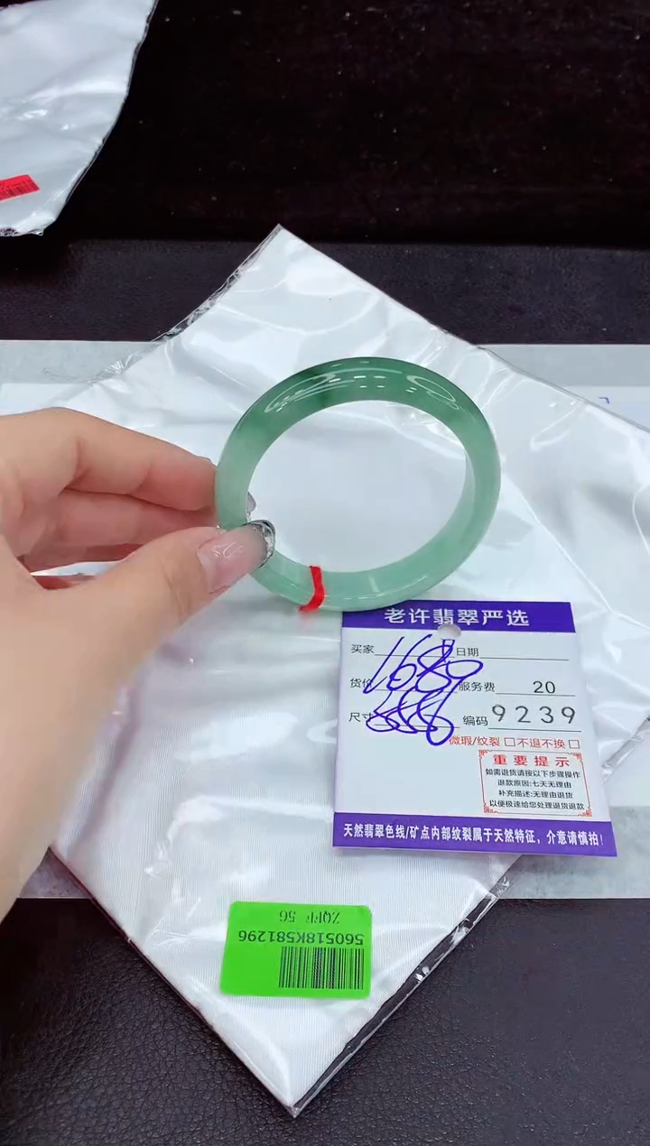 未镶嵌手镯翡翠1