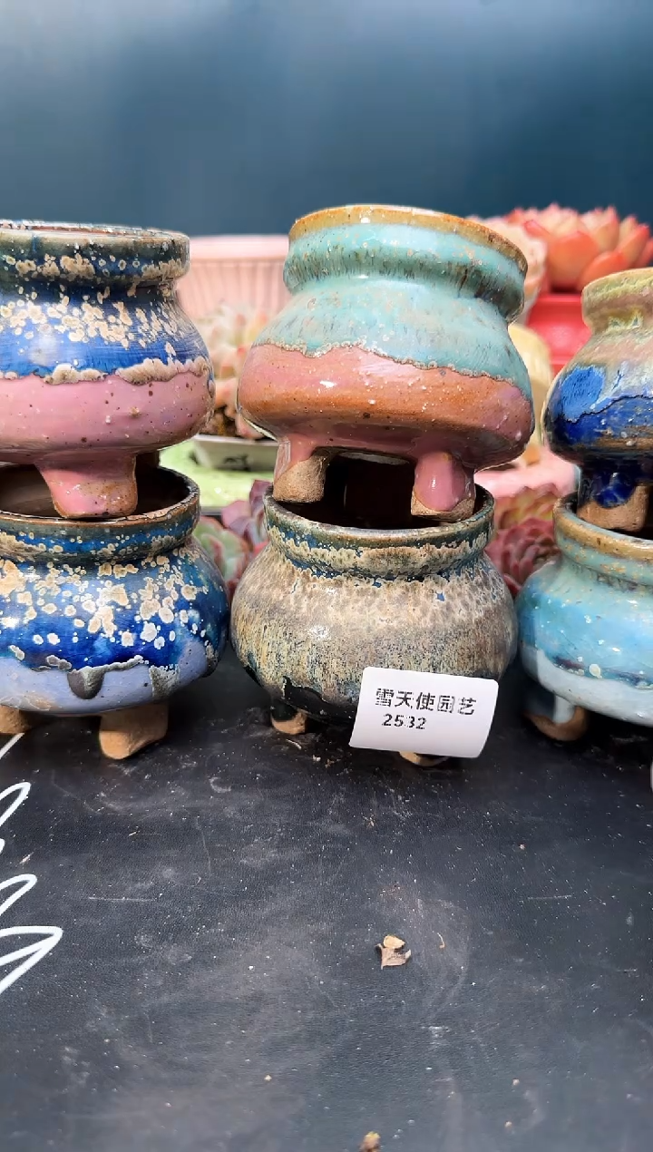 2532    盆6   个 默认微瑕