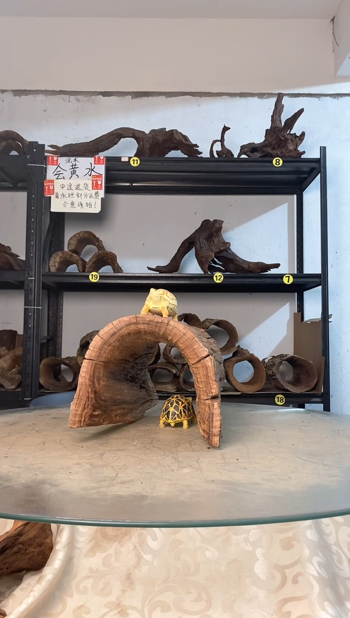 焦*?鱼缸爬宠造景素材764