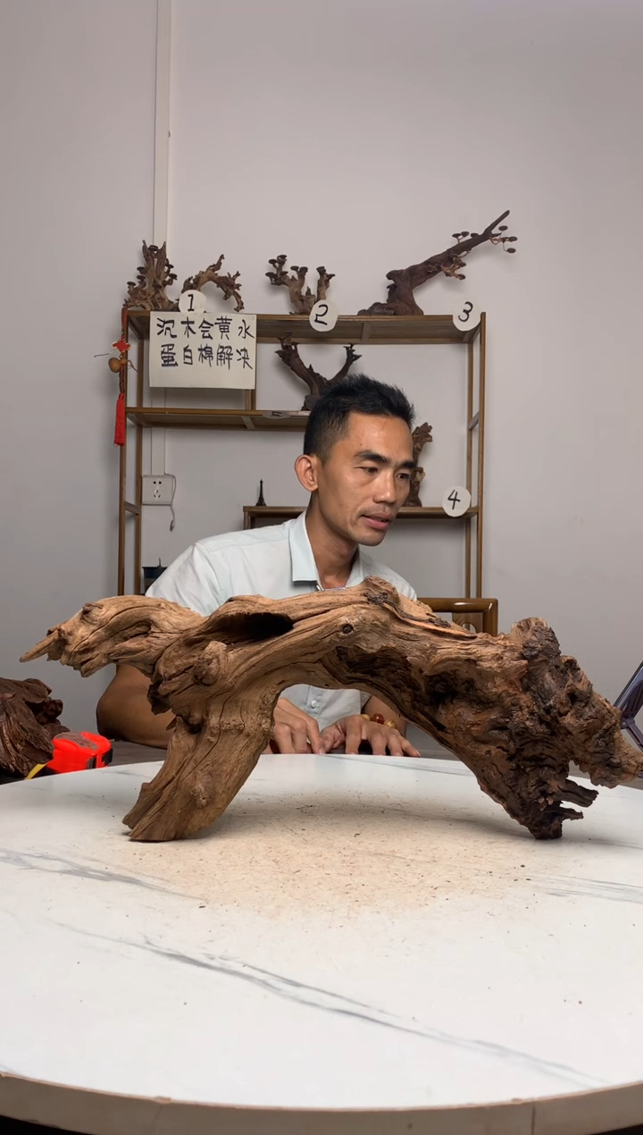 云***、鱼缸造景沉木摆件