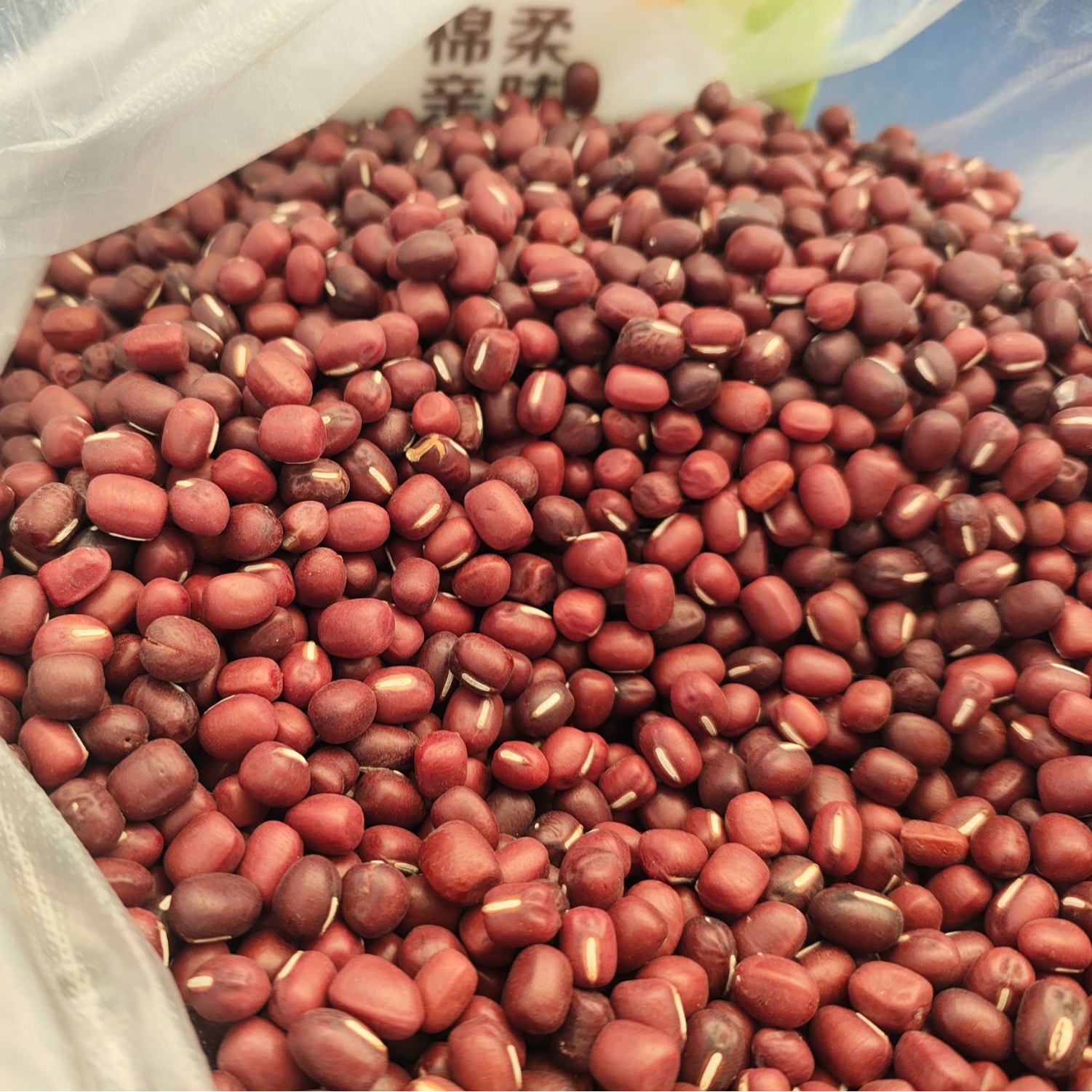 【助农】红豆/农家自种/京东包邮/江浙沪皖次日达
