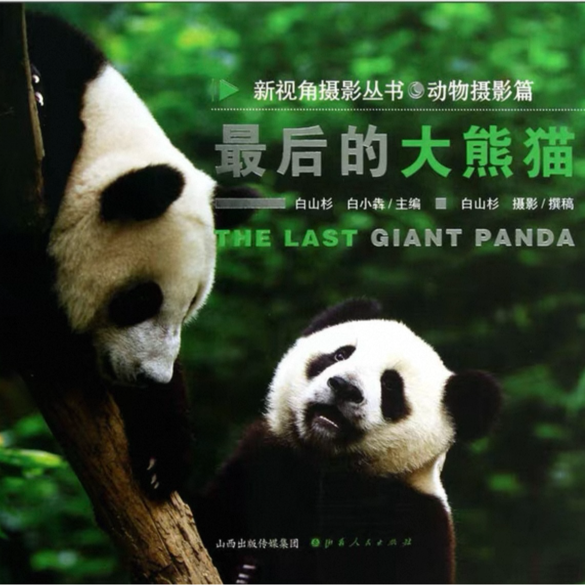 【嗨胖哒荐书】最后的大熊猫
