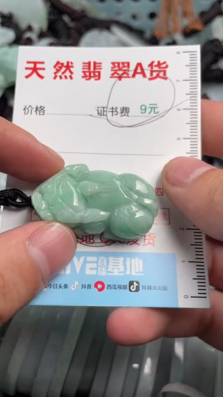 翡翠未镶嵌吊坠(不含链)1