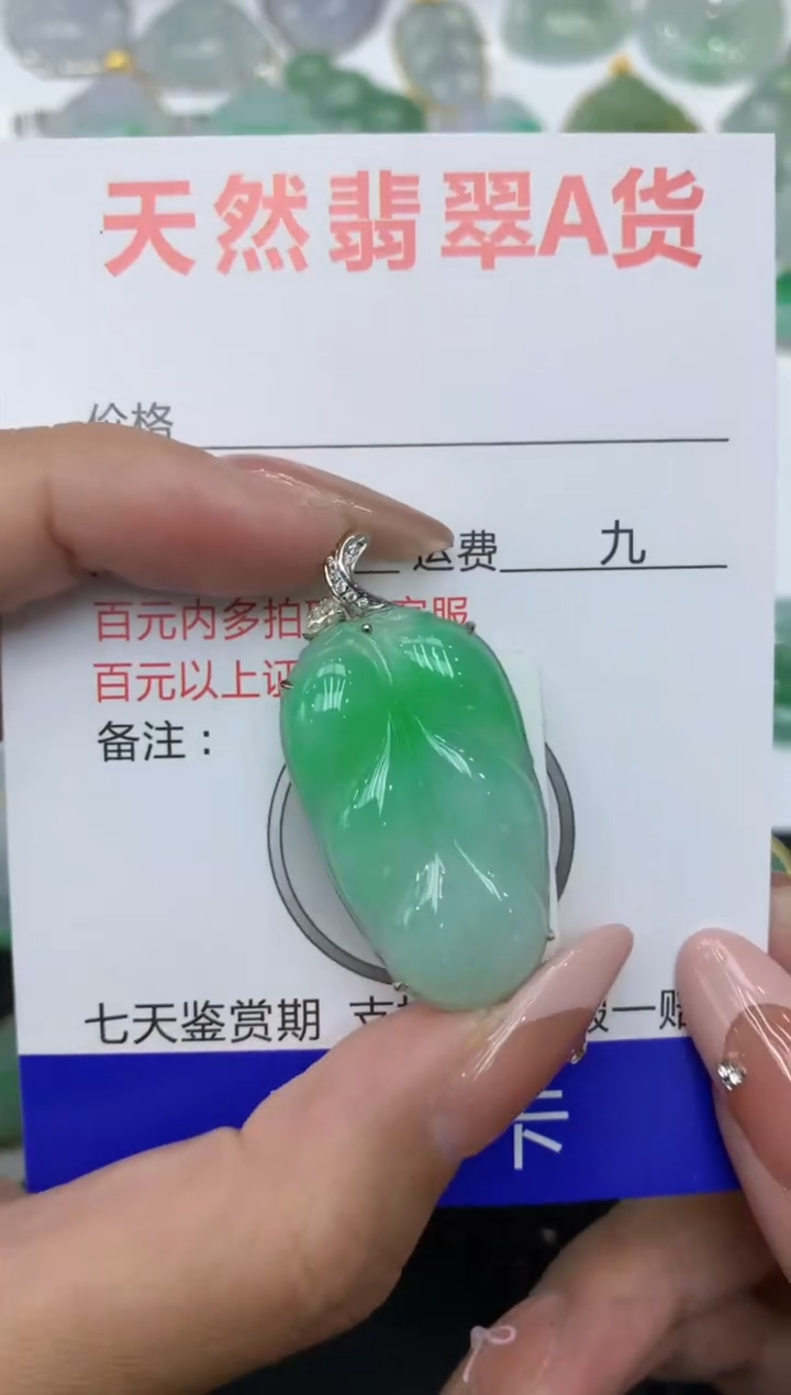 【闪购商品】翡翠颈饰18K金镶嵌111111111