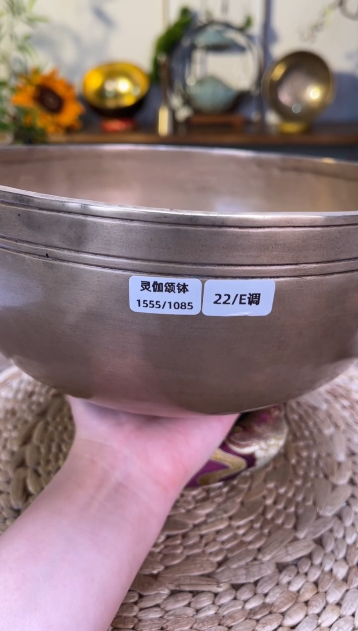 【闪购商品】灵伽口径22CM-E调（无配件）