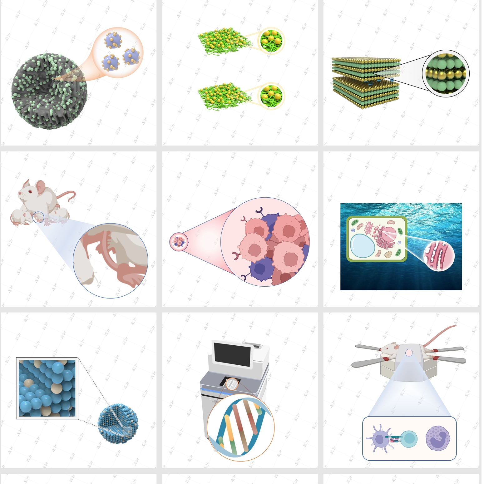 局部放大效果 | PPT可编辑 | 科研绘图素材