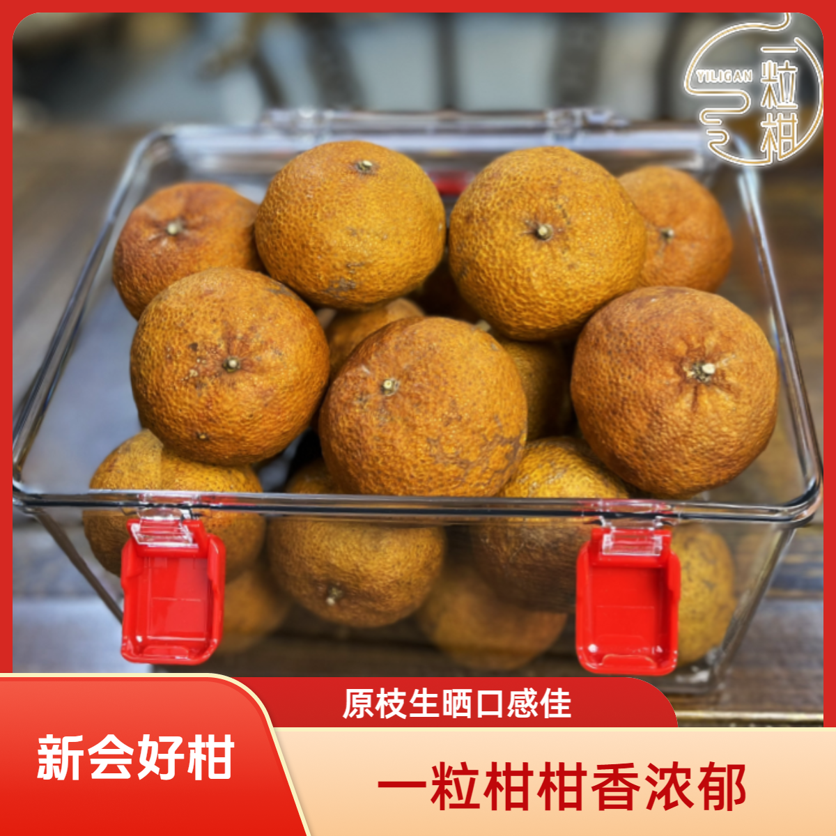 一粒柑【高货好柑】2024年原枝全生晒大红柑普茶新会特产一粒柑