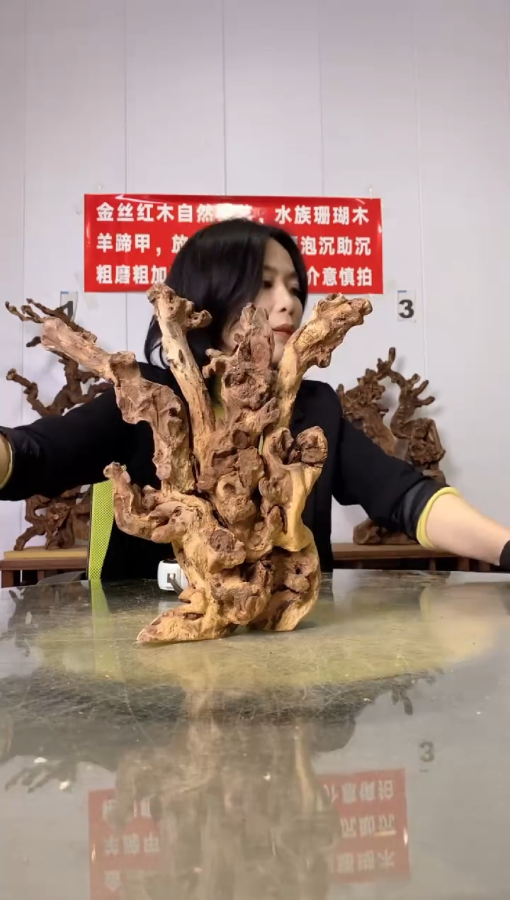 【闪购商品】木26金丝红木 羊蹄甲