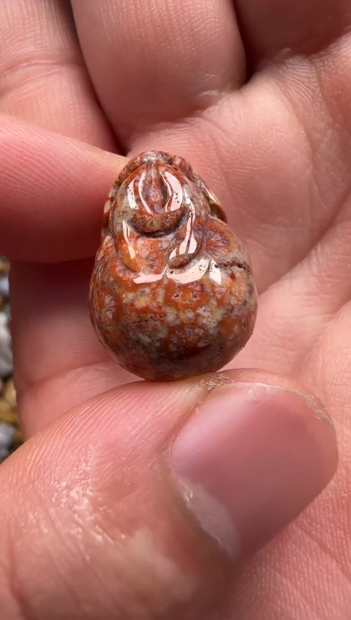 【闪购商品】硅化珊瑚（珊瑚玉）颈饰未镶嵌138