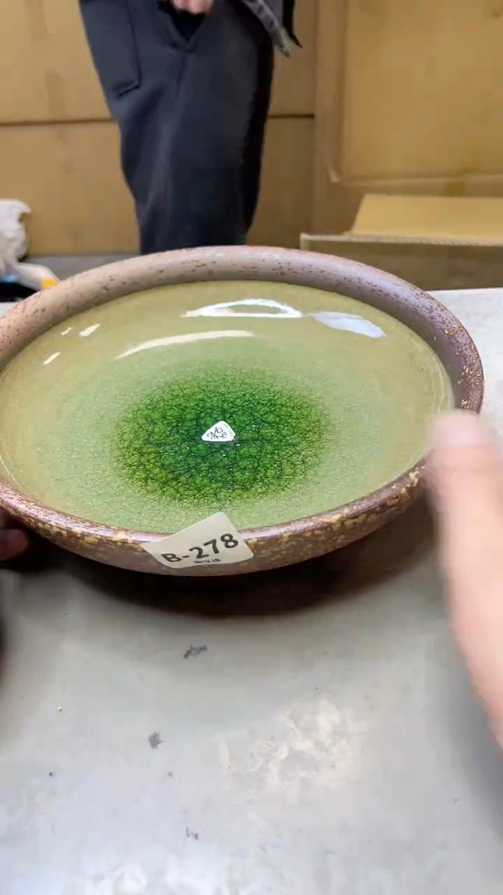 【闪购商品】瓷片278  聚宝缘  二号店