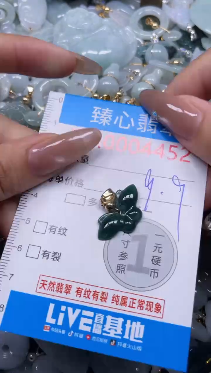 颈饰未镶嵌翡翠4452