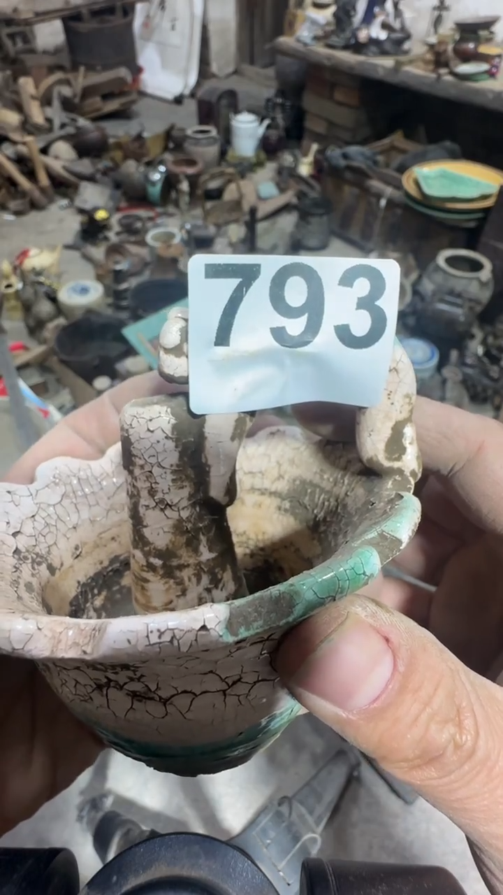 敬****）闪购0616小龙专属链接