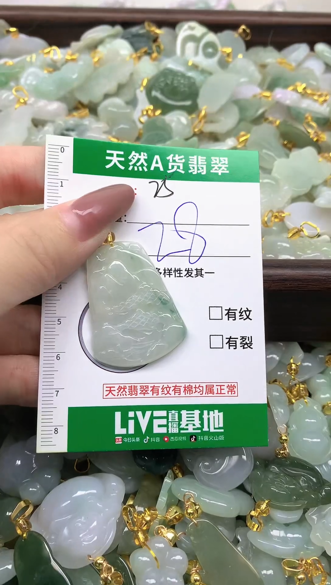 颈饰未镶嵌翡翠纯天然缅甸A货翡翠-25