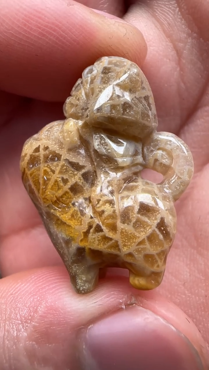 【闪购商品】硅化珊瑚（珊瑚玉）颈饰未镶嵌739