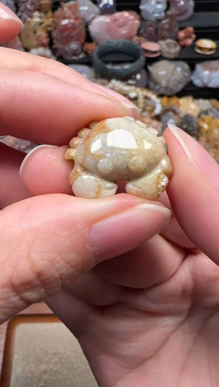 颈饰未镶嵌硅化珊瑚（珊瑚玉）783