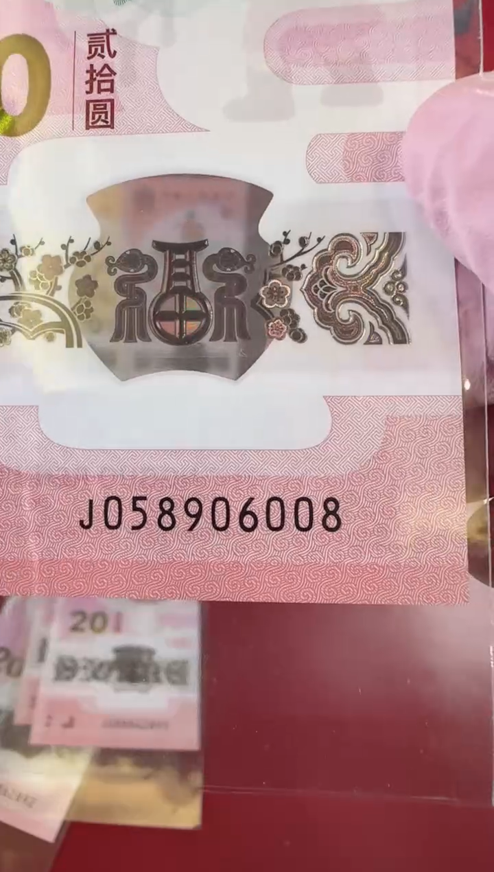 【闪购商品】塑料2025蛇钞单张裸啊啊啊啊啊