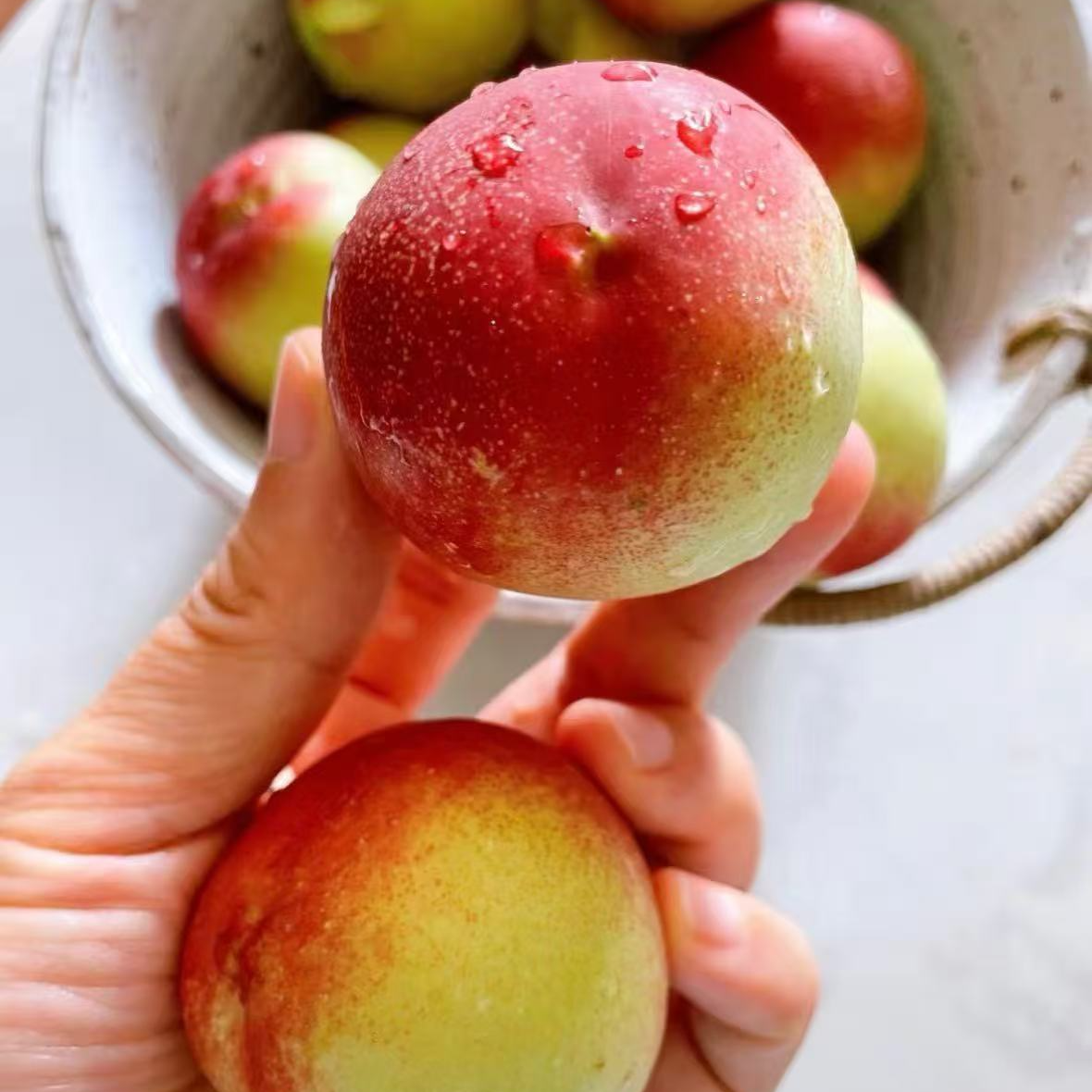 【来此购专属】枣蜜桃2斤桃子同城送山西省