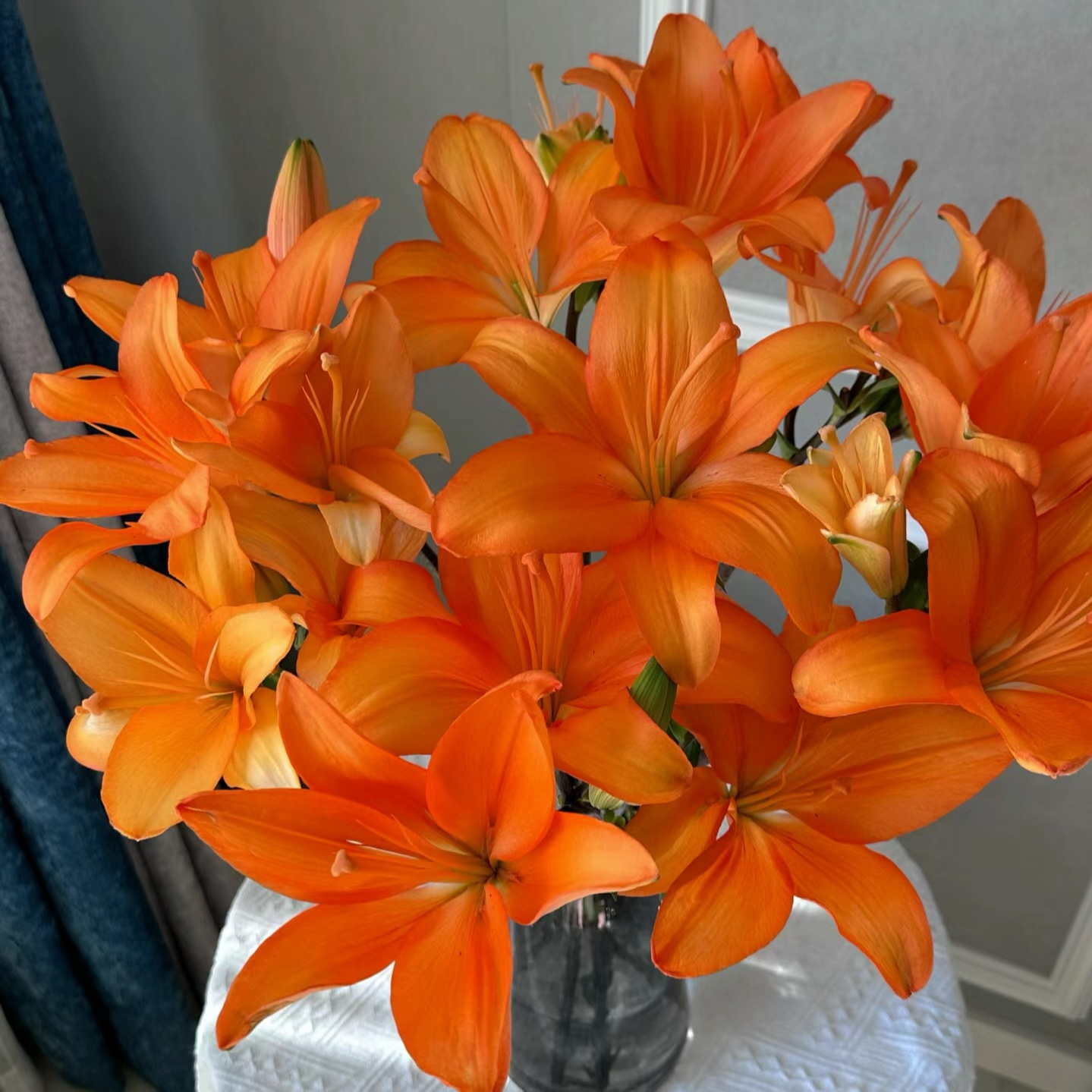 【一品花集】橘色【橙色梦想】亚百合花 云南昆明基地直发家用鲜花