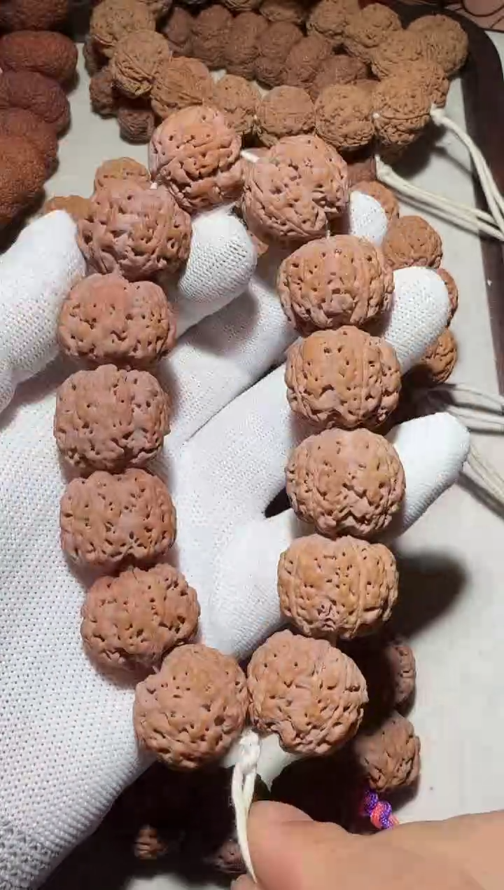 【闪购商品】金刚菩提手串超头矮桩粗筋满肉双龙24