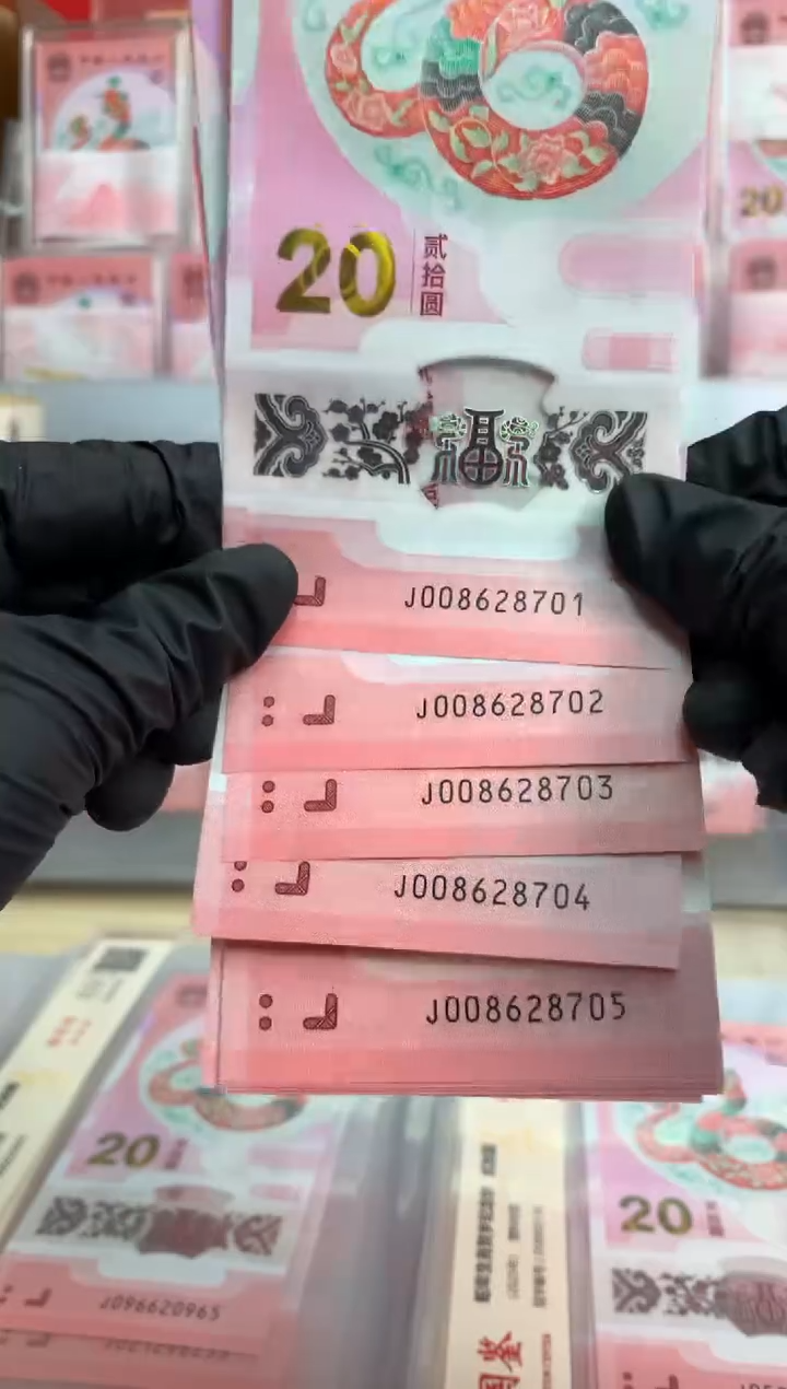 【闪购商品】塑料2025蛇钞  十连号【随机号码】无4